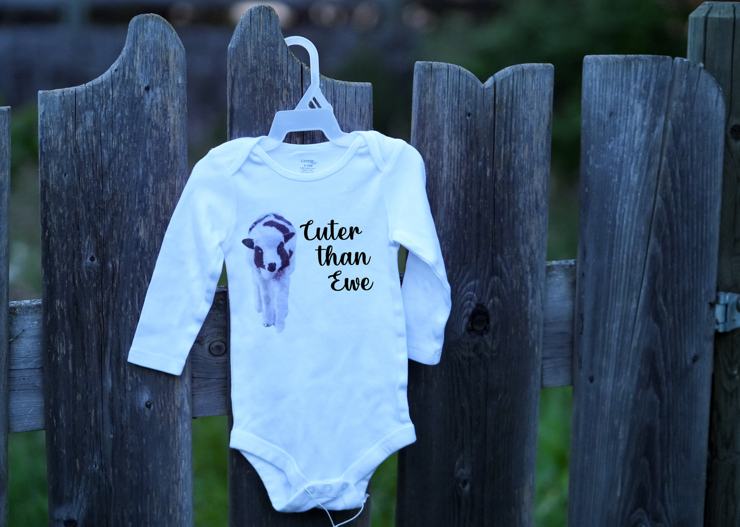 Boyd's Barn Onesie