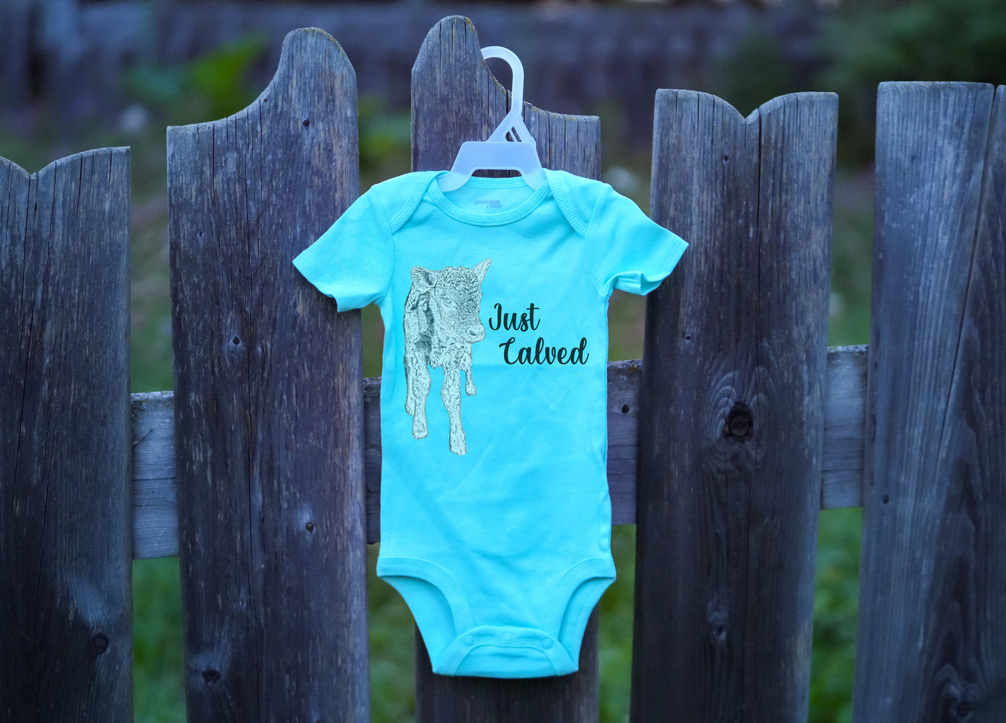 Boyd's Barn Onesie