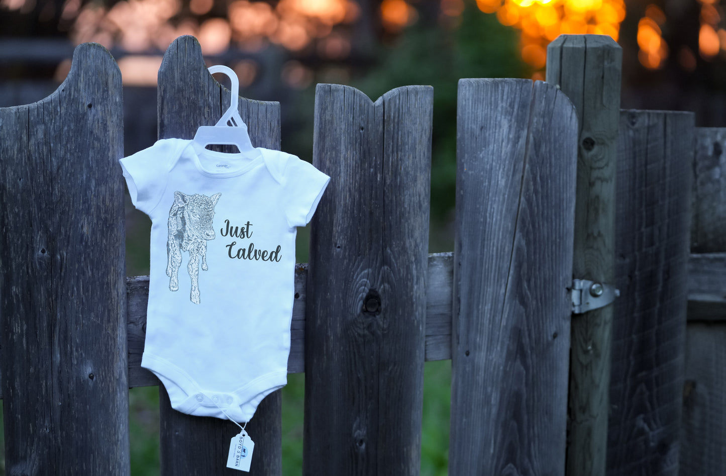 Boyd's Barn Onesie