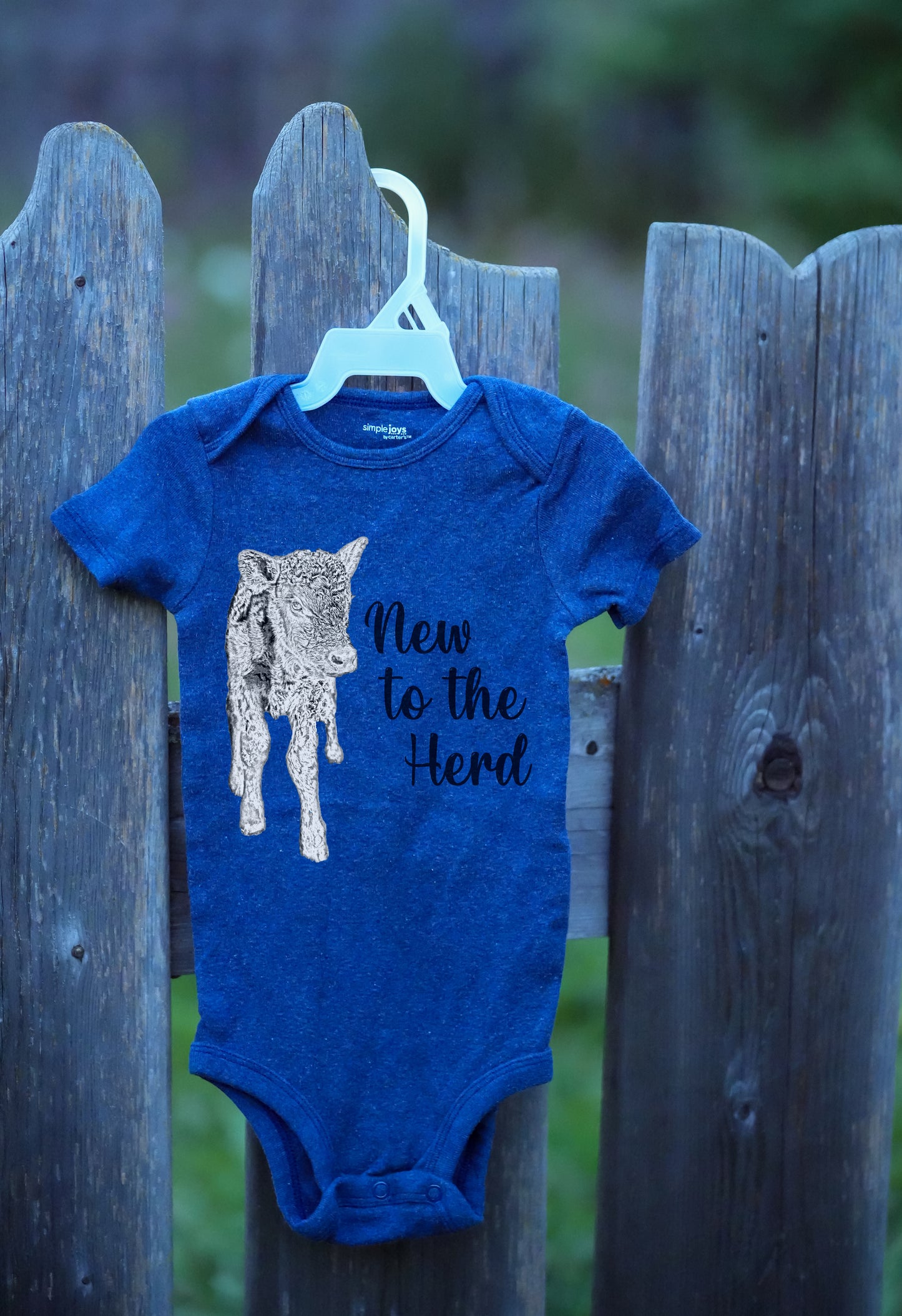 Boyd's Barn Onesie