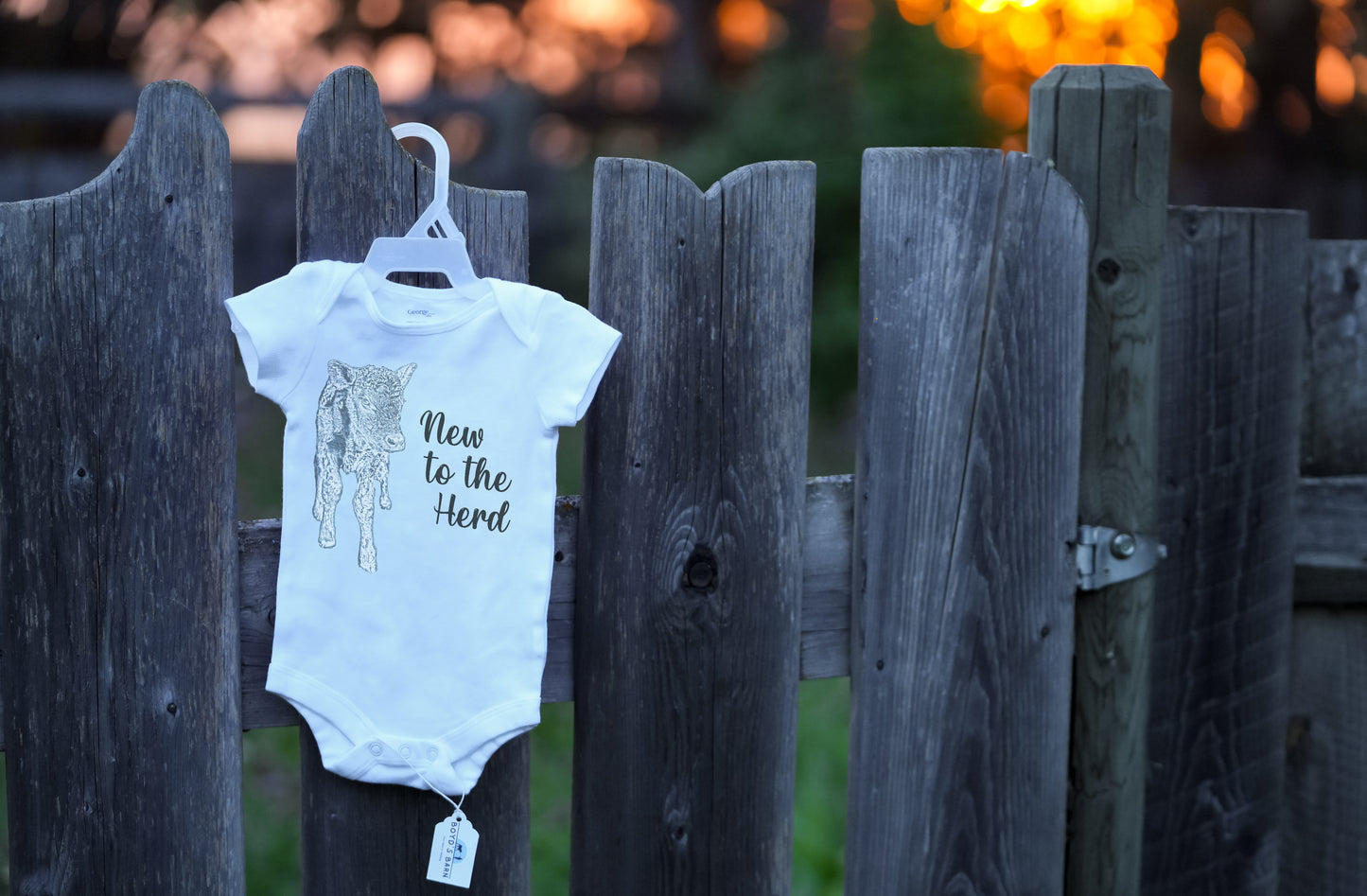 Boyd's Barn Onesie