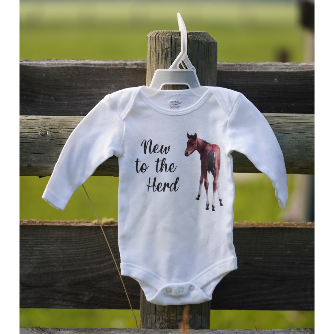 Boyd's Barn Onesie