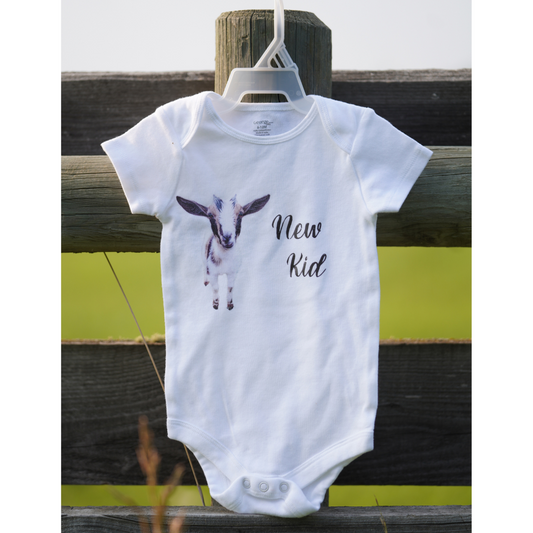 Boyd's Barn Onesie